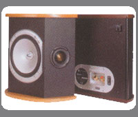 RS-FX
